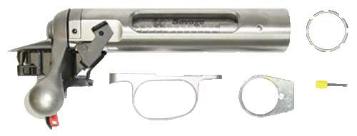 SAV TARGET ACTION SS RB RP 223 CAL BOLT