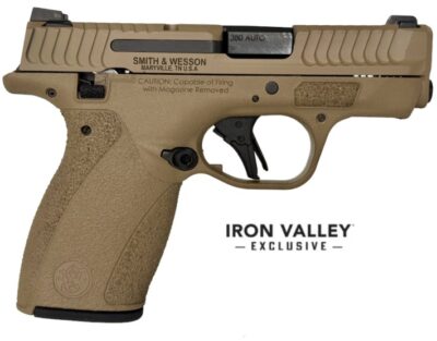 S&W Bodyguard 2.0 380ACP 2.75" TS FDE 10/12rd IVS