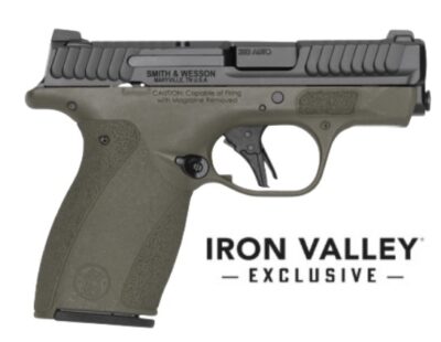 M&P Bodyguard 2.0 380ACP 2.75" NTS ODG 10/12 IVS