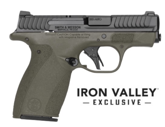 M&P Bodyguard 2.0 380ACP 2.75″ NTS ODG 10/12 IVS