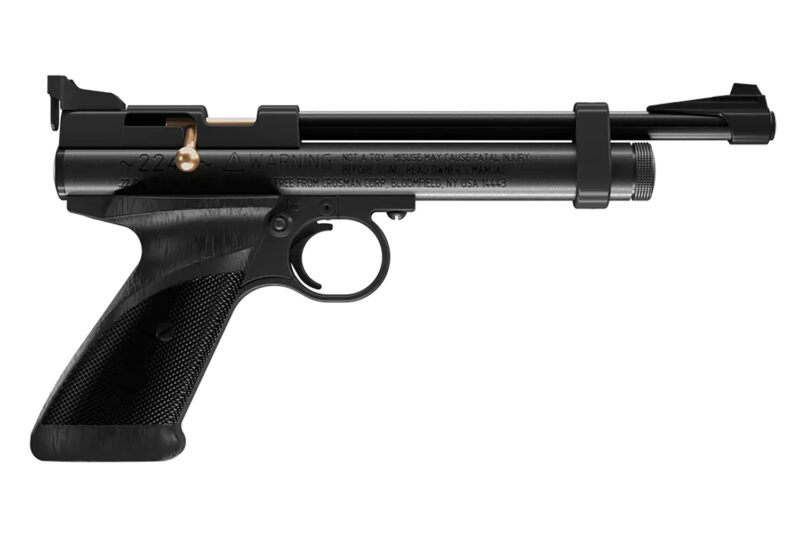 Daisy 2240 2240  Black Polymer CO2 22 Cal, Single Shot Bolt Action