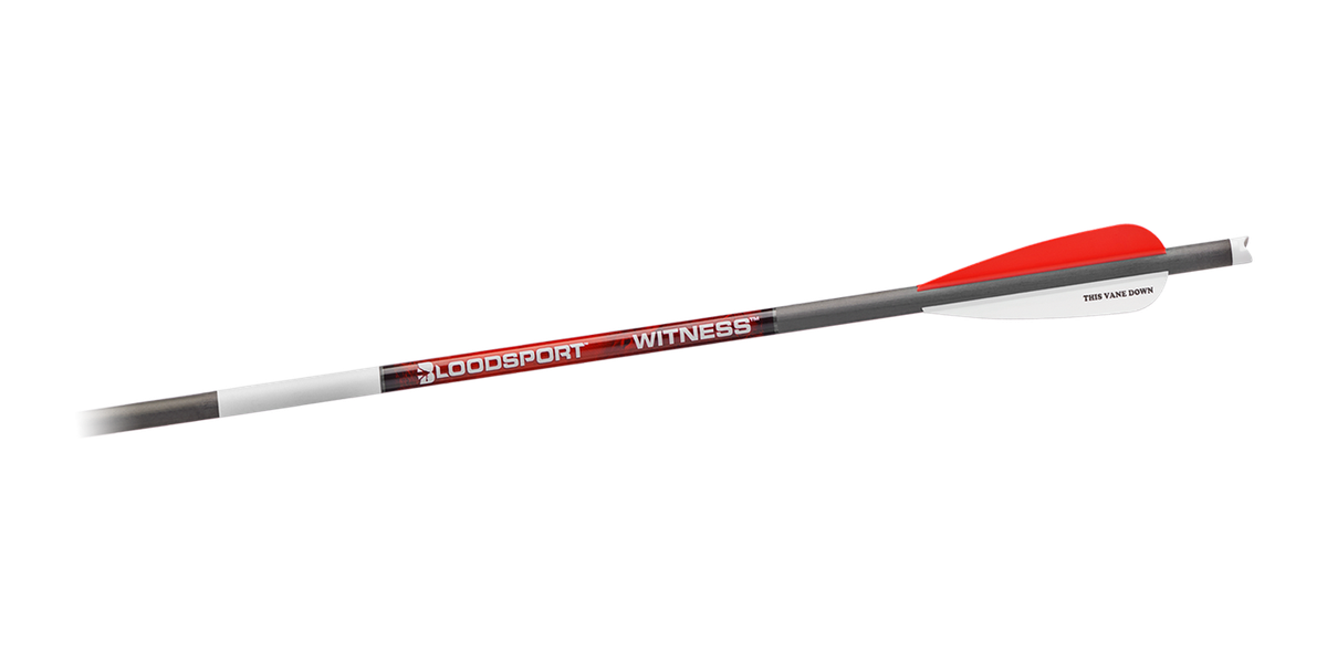 Bloodsport Witness Crossbow Bolt 20″ 300 Spine 6/pk