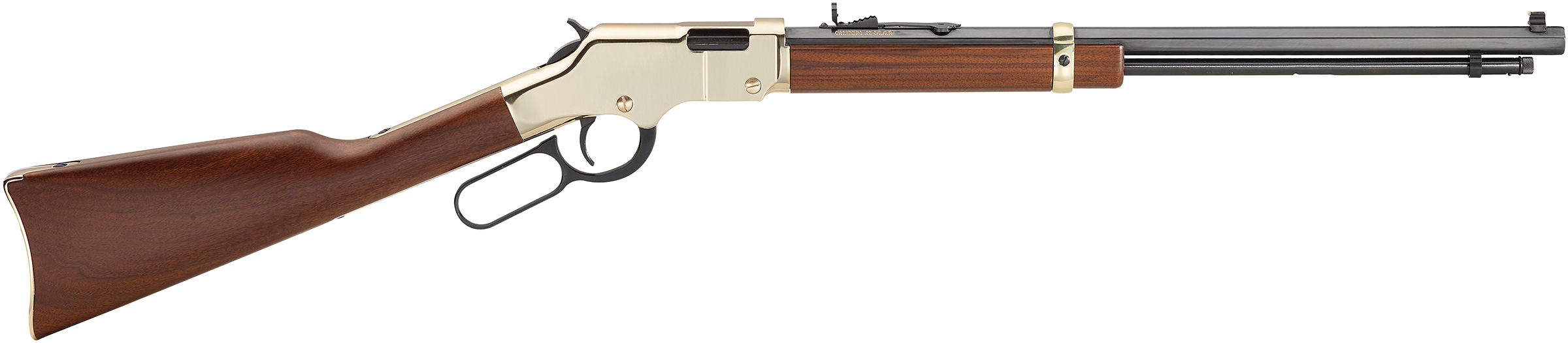 HENRY GOLDEN BOY 17HMR 20