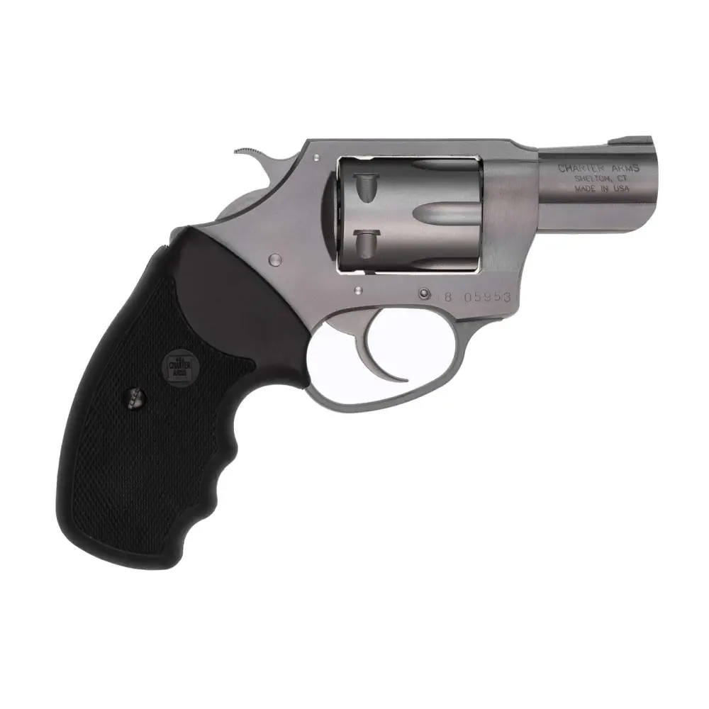CHARTER ARMS PATHFINDER HGR 22LR 2″ BBL SS 6/RD