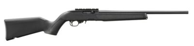10/22 .22LR 18.5" BX MLOK Blk/Blk 10rd