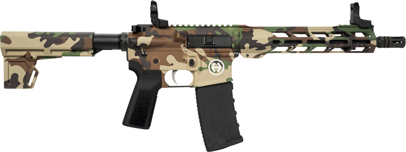 HIPOINT PISTOL HP-15 300 AAC - 10.5" 30RD BLADE BRACE M81