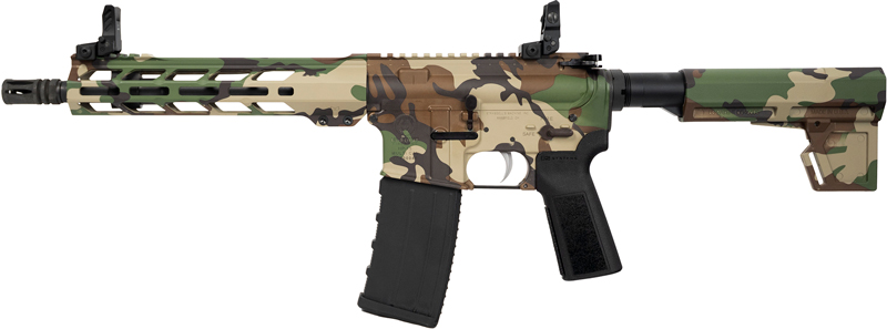 HIPOINT PISTOL HP-15 300 AAC - 10.5" 30RD BLADE BRACE M81 - Image 2