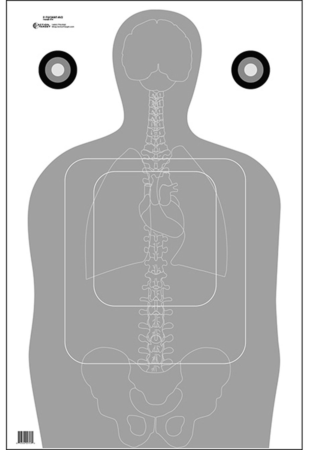 Action Target FTQ15ANTAV2100 Qualification  Silhouette/Vitals Paper 23″ x 35″ Gray/White 100 Per Box